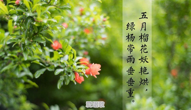 听过这么多歌,你觉得哪首歌的歌词最美 听过这么多歌,你觉得哪首歌的歌词最美 - 爱唱歌