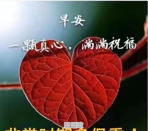碰到具有中国血统的人,和你用异族语言交谈时,有什么感觉 碰到具有中国血统的人,和你用异族语言交谈时,有什么感觉 - 爱唱歌