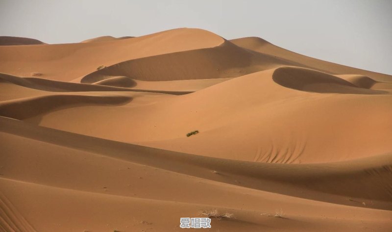 张掖甘州区今晚20时48分发生5.0级地震,肃南县54分发生3.9级地震,武威、张掖等地震感强烈。你怎么看 张掖甘州区今晚20时48分发生5.0级地震,肃南县54分发生3.9级地震,武威、张掖等地震感强烈。你怎么看 - 爱唱歌