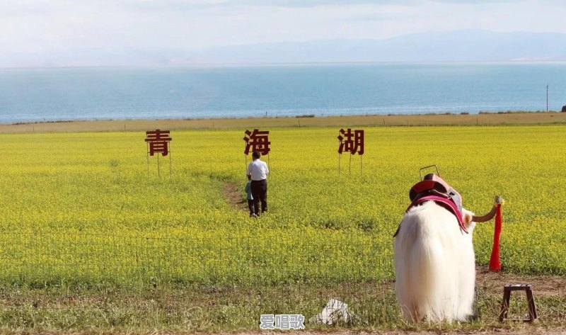 张掖甘州区今晚20时48分发生5.0级地震,肃南县54分发生3.9级地震,武威、张掖等地震感强烈。你怎么看 张掖甘州区今晚20时48分发生5.0级地震,肃南县54分发生3.9级地震,武威、张掖等地震感强烈。你怎么看 - 爱唱歌