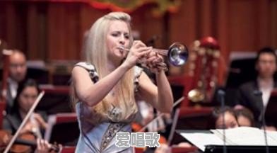 没有乐理知识的成人,可以学什么乐器呢 没有乐理知识的成人,可以学什么乐器呢 - 爱唱歌