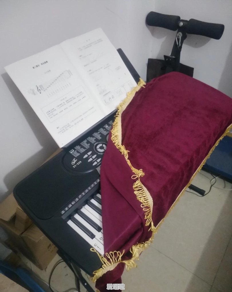 没有乐理知识的成人,可以学什么乐器呢 没有乐理知识的成人,可以学什么乐器呢 - 爱唱歌