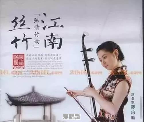 没有乐理知识的成人,可以学什么乐器呢 没有乐理知识的成人,可以学什么乐器呢 - 爱唱歌