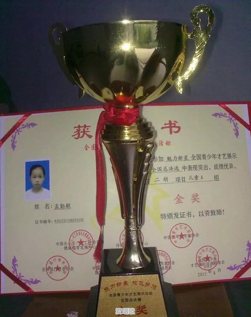 没有乐理知识的成人,可以学什么乐器呢 没有乐理知识的成人,可以学什么乐器呢 - 爱唱歌