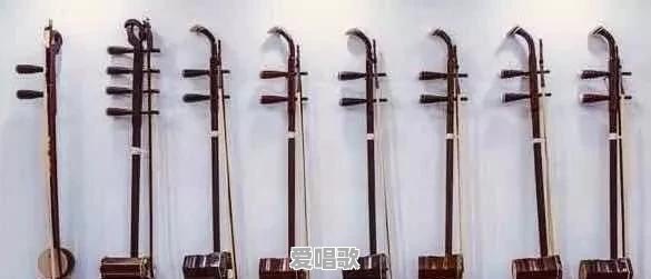 没有乐理知识的成人,可以学什么乐器呢 没有乐理知识的成人,可以学什么乐器呢 - 爱唱歌