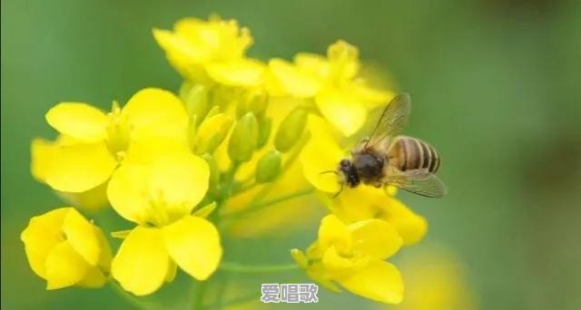 有了宝宝以后想在家里准备一个药箱，需要准备哪些药物 - 爱唱歌