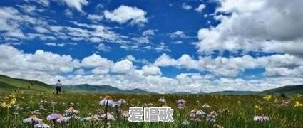 分享一首歌,让你感动的歌词有哪些 分享一首歌,让你感动的歌词有哪些 - 爱唱歌