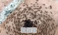 《迷你世界》为什么会火 - 爱唱歌