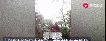 《迷你世界》为什么会火 - 爱唱歌