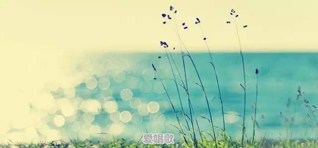 来电铃声2020最火的是什么歌 - 爱唱歌