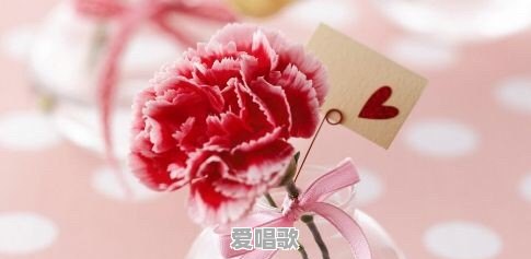 5.12母亲节，关于母亲的经典粤语歌曲有哪些 - 爱唱歌