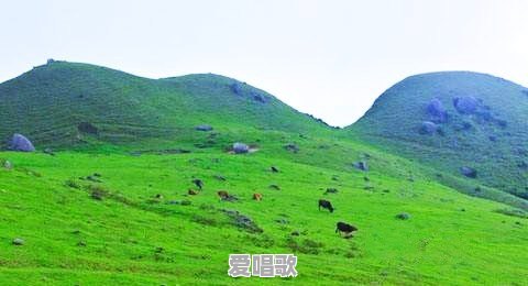 广东省内两天自驾游有什么好推荐吗 广东省内两天自驾游有什么好推荐吗 - 爱唱歌