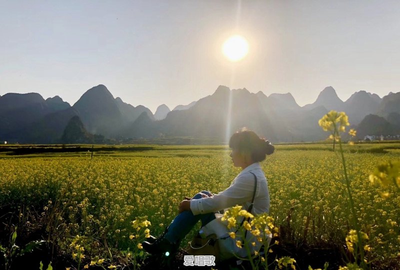 你认为刘亦菲最美的照片是哪一张,为什么 你认为刘亦菲最美的照片是哪一张,为什么 - 爱唱歌