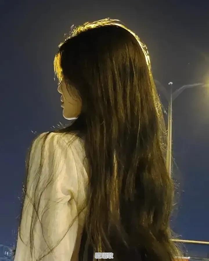 夜深人静时,你想(他她)了吗?每当夜深人静的时候总会想起心中的那个她 夜深人静时,你想(他她)了吗?每当夜深人静的时候总会想起心中的那个她 - 爱唱歌