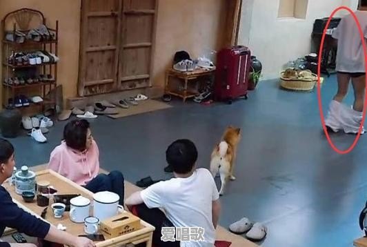 蒋大为的成名曲有哪些 蒋大为的成名曲有哪些 - 爱唱歌