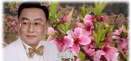 蒋大为的成名曲有哪些 蒋大为的成名曲有哪些 - 爱唱歌