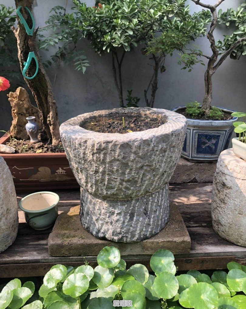 喜欢用花做头像的男人是什么性格 喜欢用花做头像的男人是什么性格 - 爱唱歌