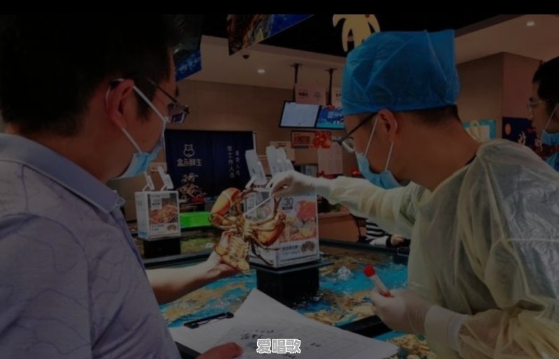 超长视频2021网络最火歌曲 - 爱唱歌