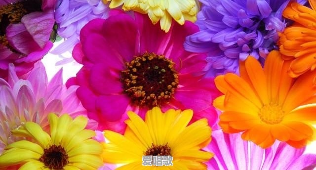 网络经典翻唱歌曲有哪些 网络经典翻唱歌曲有哪些 - 爱唱歌