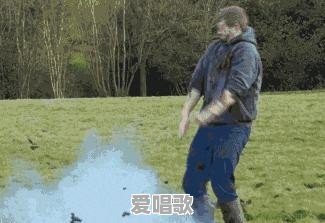 网络一枝花搞笑歌曲100首 网络一枝花搞笑歌曲100首 - 爱唱歌