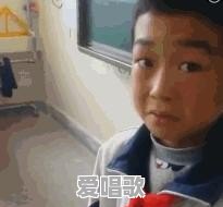 网络一枝花搞笑歌曲100首 网络一枝花搞笑歌曲100首 - 爱唱歌
