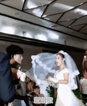 网络一枝花搞笑歌曲100首 网络一枝花搞笑歌曲100首 - 爱唱歌