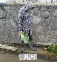 网络一枝花搞笑歌曲100首 网络一枝花搞笑歌曲100首 - 爱唱歌