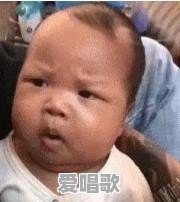 网络一枝花搞笑歌曲100首 网络一枝花搞笑歌曲100首 - 爱唱歌