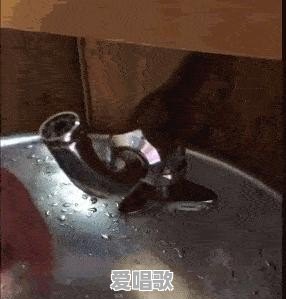 网络一枝花搞笑歌曲100首 网络一枝花搞笑歌曲100首 - 爱唱歌