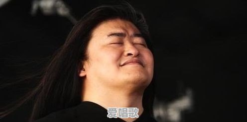 大家如何评价刚刚进行完了的《歌手2019》决赛刘欢夺冠 - 爱唱歌