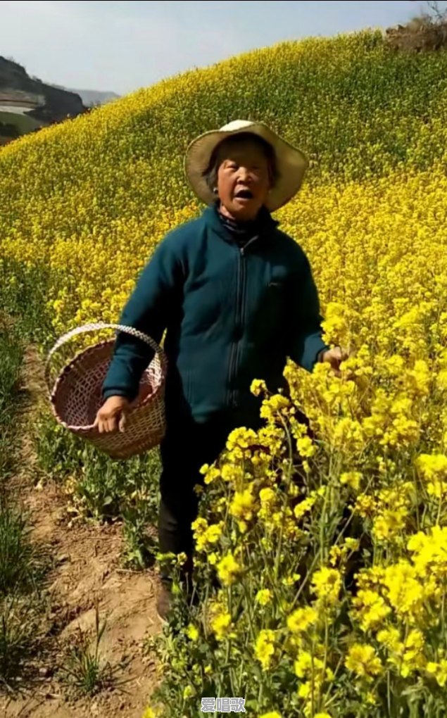有些人胆子为什么那么大,你们见过最大胆的人大胆到什么程度 有些人胆子为什么那么大,你们见过最大胆的人大胆到什么程度 - 爱唱歌