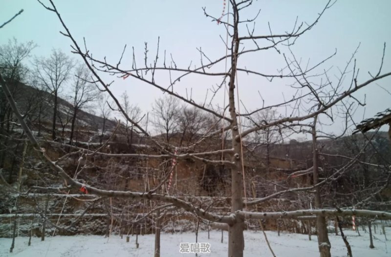 有些人胆子为什么那么大,你们见过最大胆的人大胆到什么程度 有些人胆子为什么那么大,你们见过最大胆的人大胆到什么程度 - 爱唱歌
