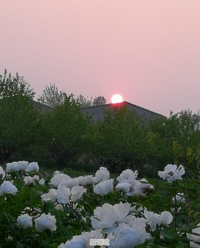 有些人胆子为什么那么大,你们见过最大胆的人大胆到什么程度 有些人胆子为什么那么大,你们见过最大胆的人大胆到什么程度 - 爱唱歌