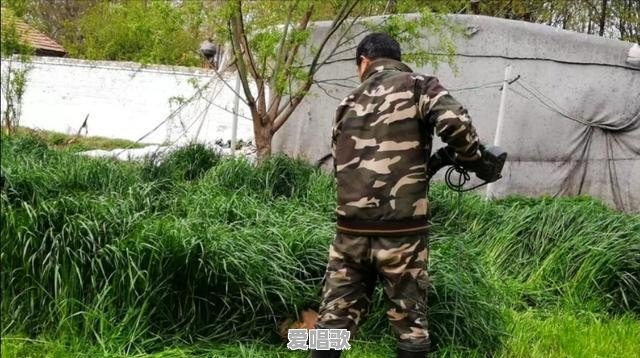 有些人胆子为什么那么大,你们见过最大胆的人大胆到什么程度 有些人胆子为什么那么大,你们见过最大胆的人大胆到什么程度 - 爱唱歌