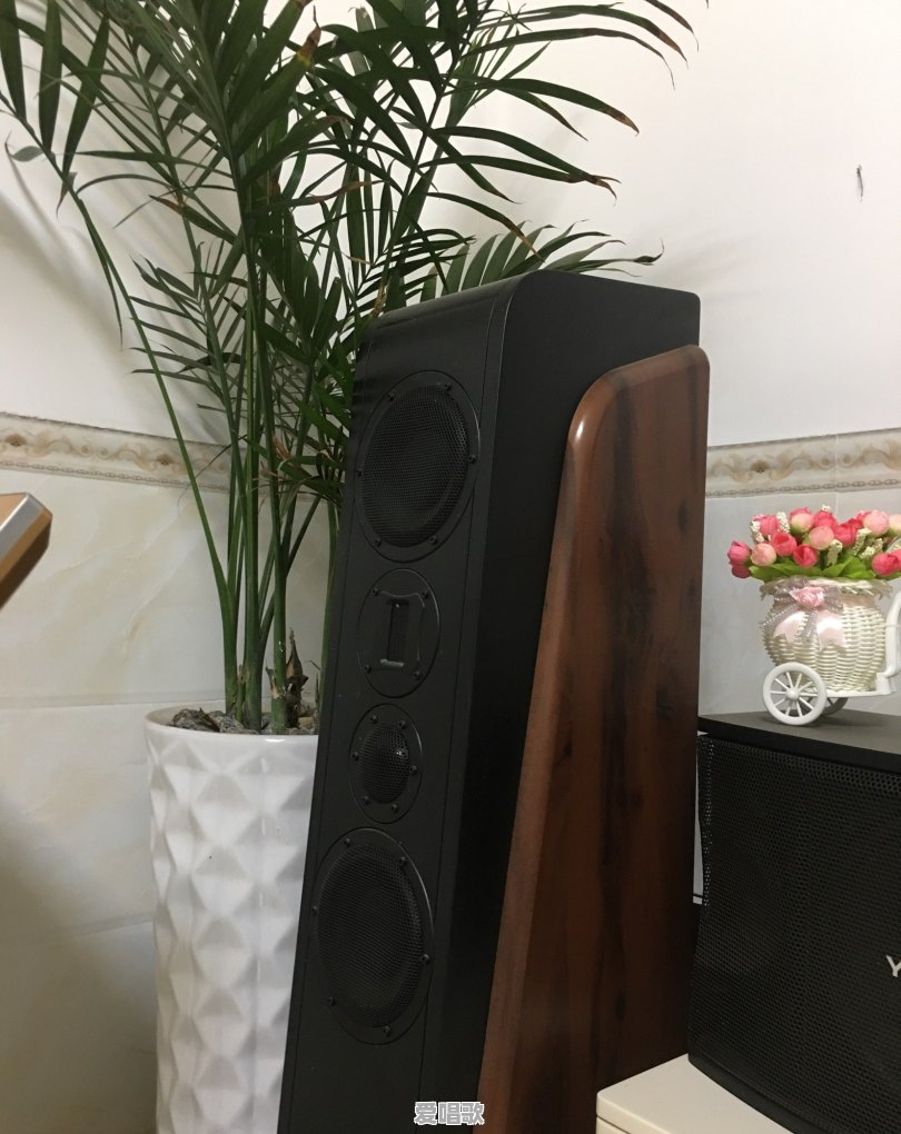 家里听歌用什么音响比较好 - 爱唱歌