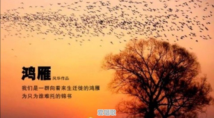 80后喜欢看什么样的音乐视频?为什么 80后喜欢看什么样的音乐视频?为什么 - 爱唱歌