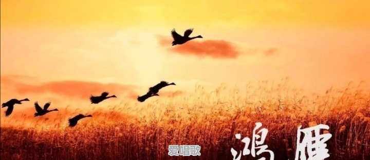 80后喜欢看什么样的音乐视频?为什么 80后喜欢看什么样的音乐视频?为什么 - 爱唱歌