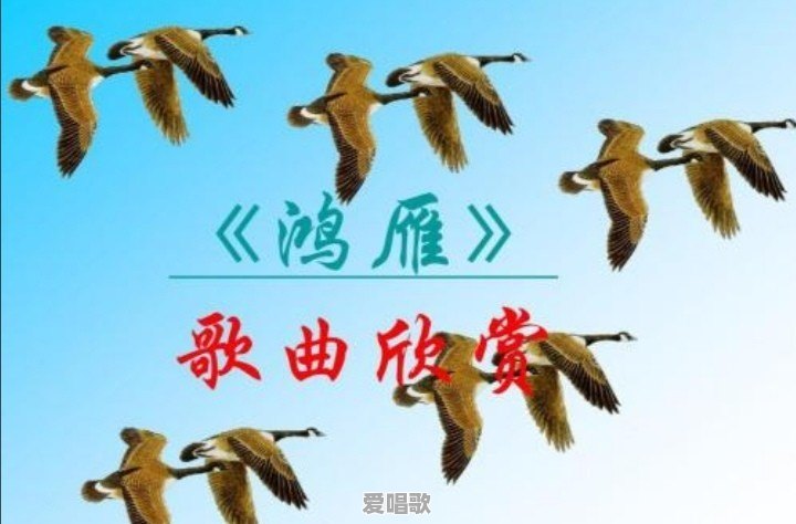 80后喜欢看什么样的音乐视频?为什么 80后喜欢看什么样的音乐视频?为什么 - 爱唱歌