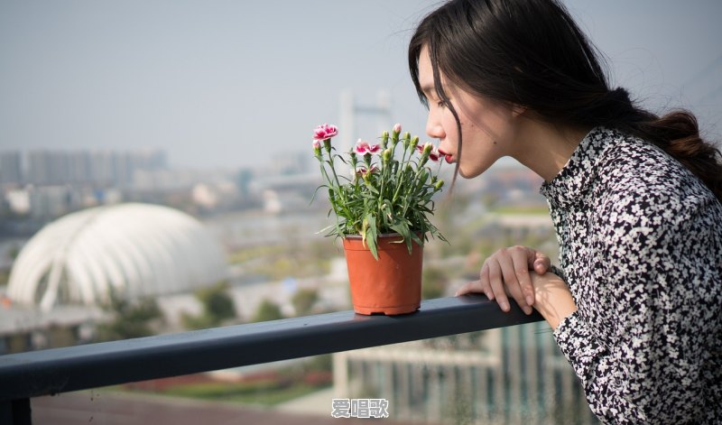 说起华语乐坛,你最先想到谁 说起华语乐坛,你最先想到谁 - 爱唱歌