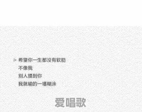 怎样评价《你还要我怎样》这首歌曲 - 爱唱歌
