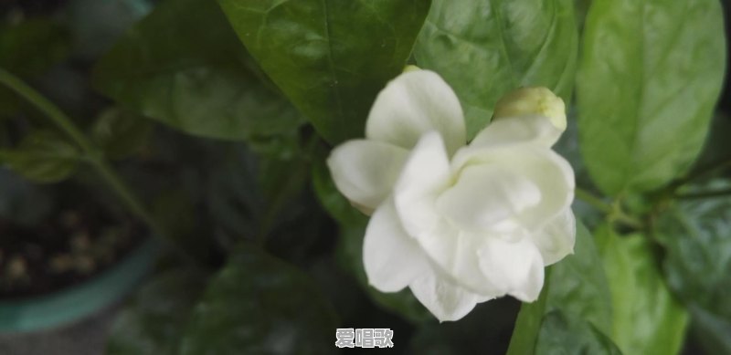 有哪些古风耽美小说值得推荐 有哪些古风耽美小说值得推荐 - 爱唱歌