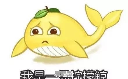 近两年有什么网络流行的梗?例如:我要我觉得,我不要你觉得 近两年有什么网络流行的梗?例如:我要我觉得,我不要你觉得 - 爱唱歌