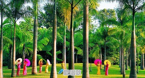 过年想要去旅行,有什么好地方推荐 过年想要去旅行,有什么好地方推荐 - 爱唱歌