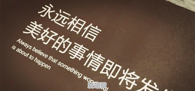 里茶叔叔演奏的流行歌曲 - 爱唱歌