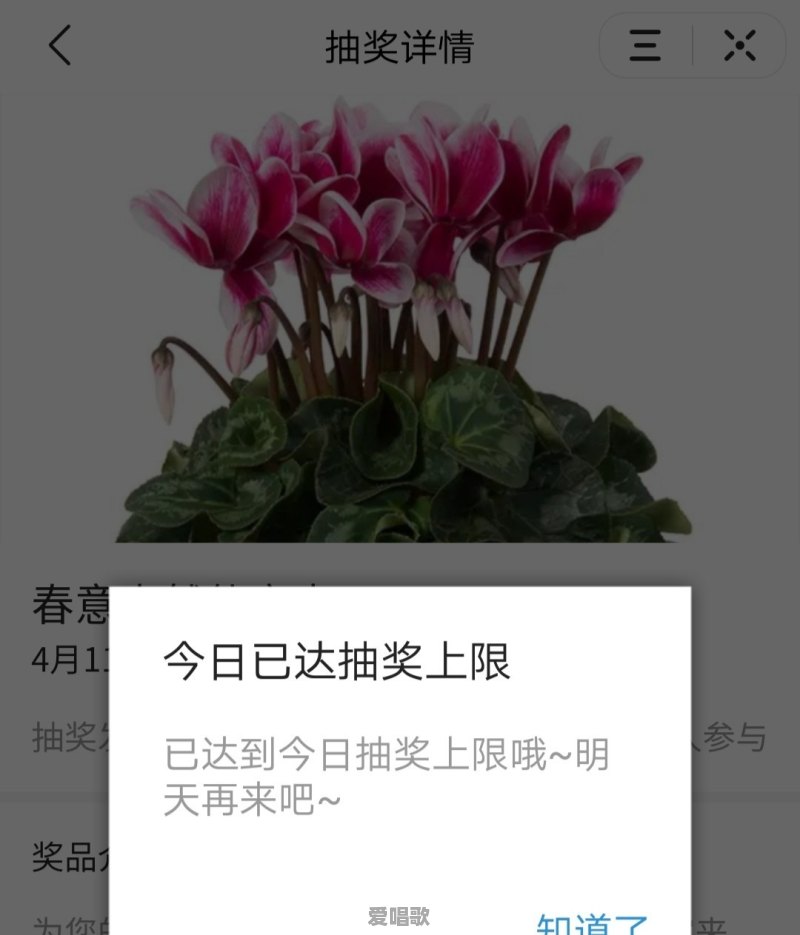 里茶叔叔演奏的流行歌曲 - 爱唱歌
