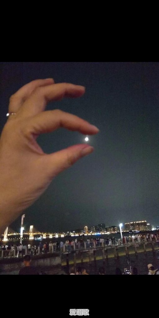 爱得太深无法放下该怎么办 爱得太深无法放下该怎么办 - 爱唱歌