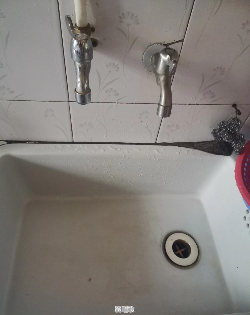 杯子刷牙网红歌手 杯子刷牙网红歌手 - 爱唱歌
