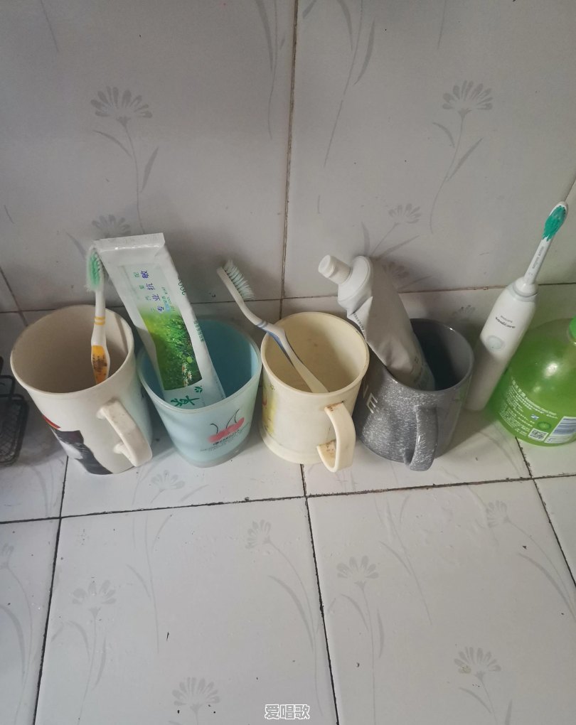 杯子刷牙网红歌手 杯子刷牙网红歌手 - 爱唱歌