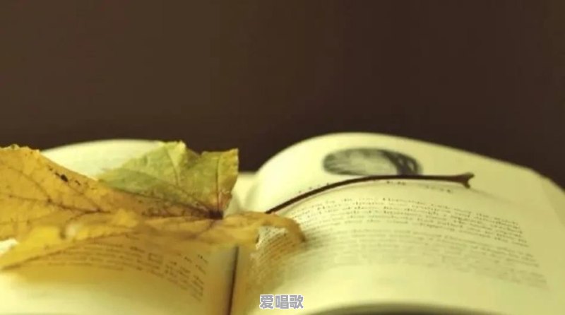 你认为华语乐坛最难听的六首歌是哪六首 你认为华语乐坛最难听的六首歌是哪六首 - 爱唱歌