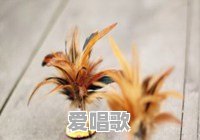 当年整个社会都在批判90后是垮掉的一带,大家有没有遇到过为了黑而黑的例子 当年整个社会都在批判90后是垮掉的一带,大家有没有遇到过为了黑而黑的例子 - 爱唱歌